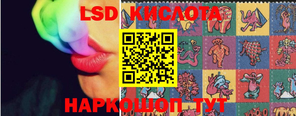 Бердск  Лсд 25 экстази кислота  Лсд 25 экстази ecstasy  Вход с VPN 